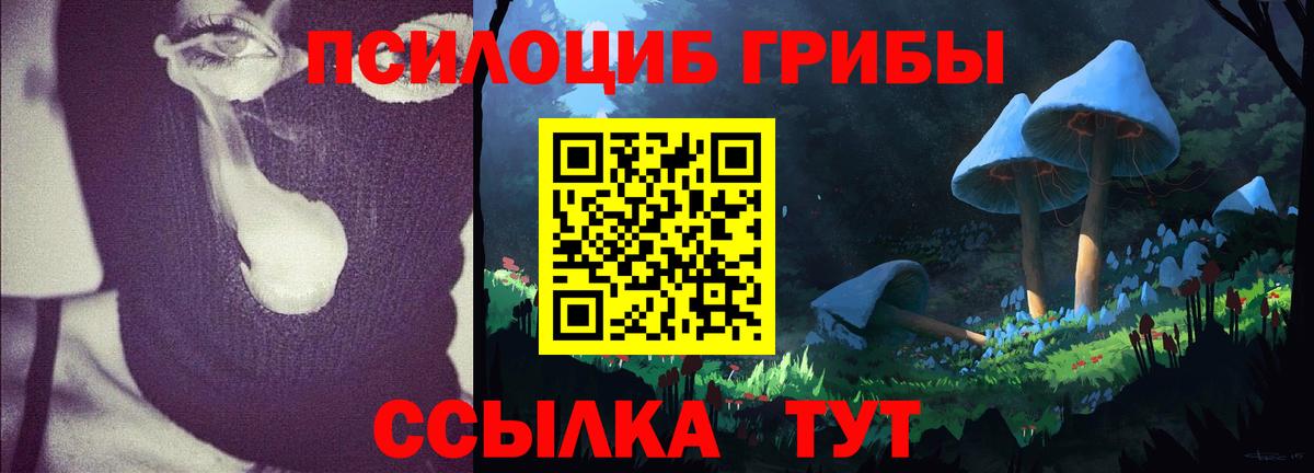 Галлюциногенные грибы Magic Shrooms  Галлюциногенные грибы Magic Shrooms  Вязьма  Вход с VPN 